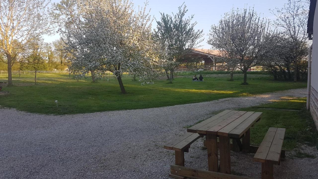 Saint-Trivier-sur-Moignans Ferme Passion B&B 외부 사진